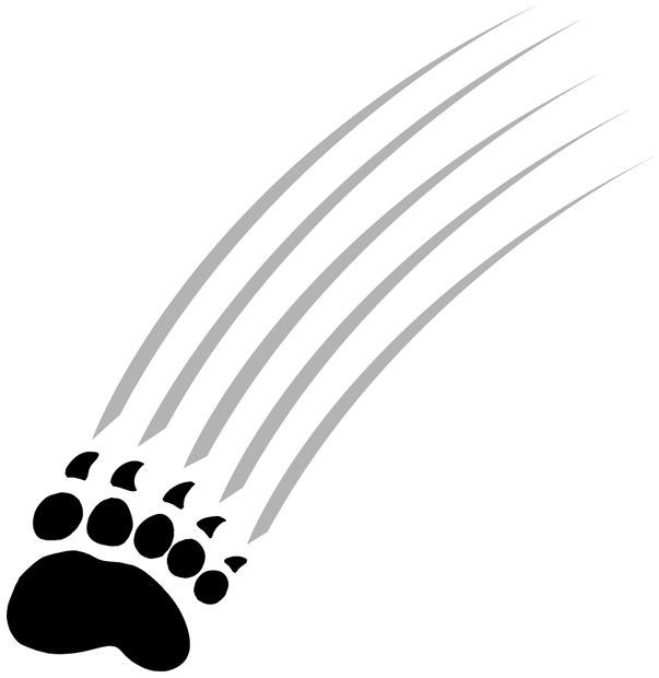 Maine Black Bears 1999-Pres Alternate Logo v3 iron on transfers for fabric